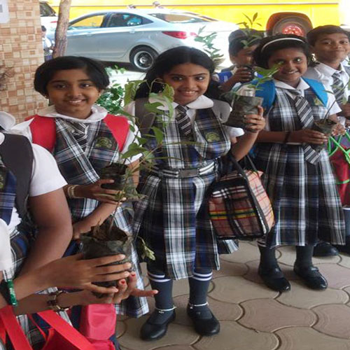 Saraswathi in action